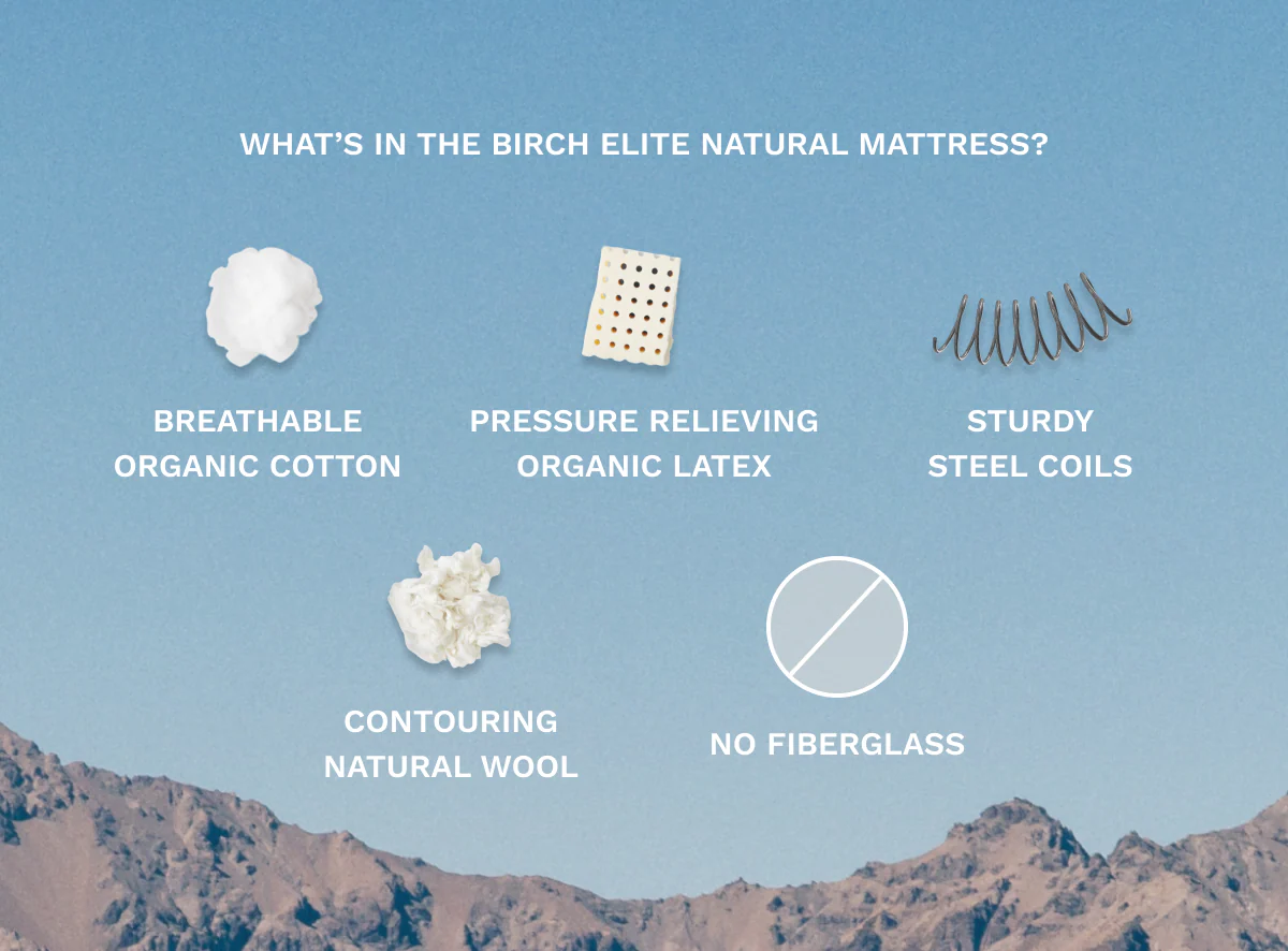 Birch Elite Natural Mattress - Image 4