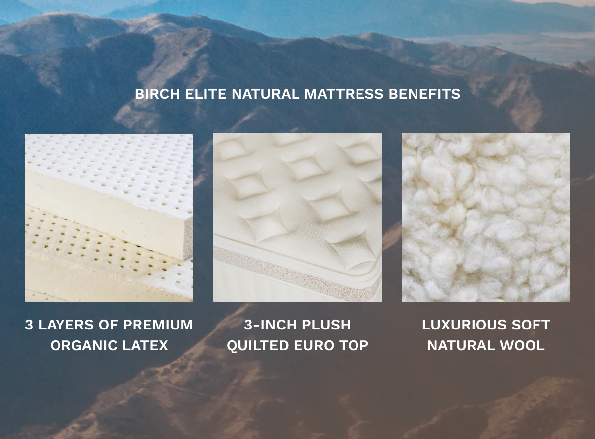 Birch Elite Natural Mattress - Image 7