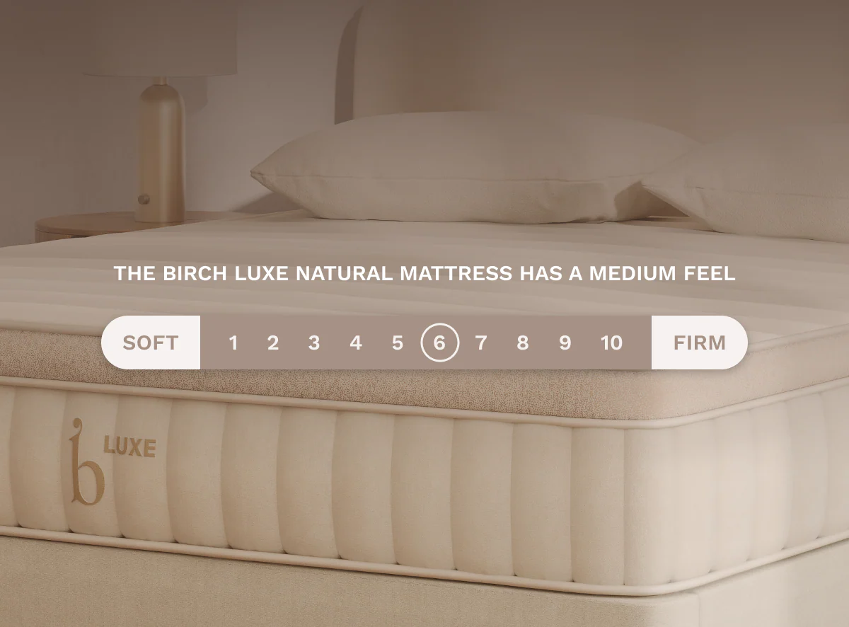 Birch Luxe Natural Mattress - Image 4