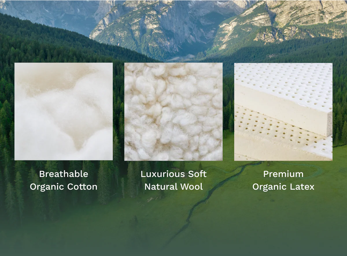 Birch Natural Mattress - Image 5